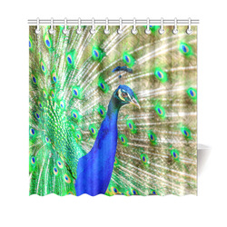 Peacock Blue Green Feathers Bird Nature Shower Curtain 69"x70"
