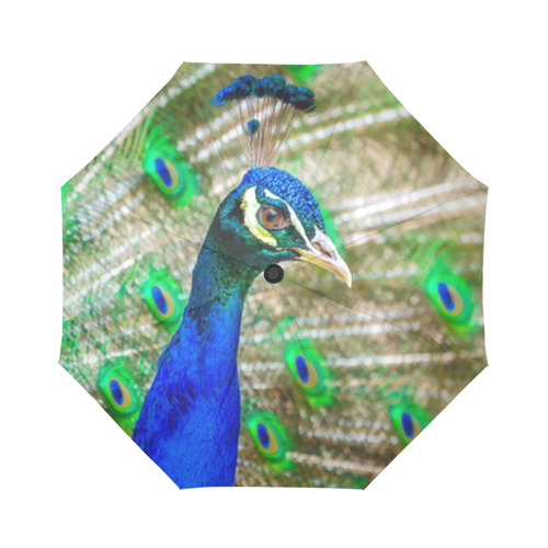 Peacock Blue Green Feathers Bird Nature Auto-Foldable Umbrella (Model U04)