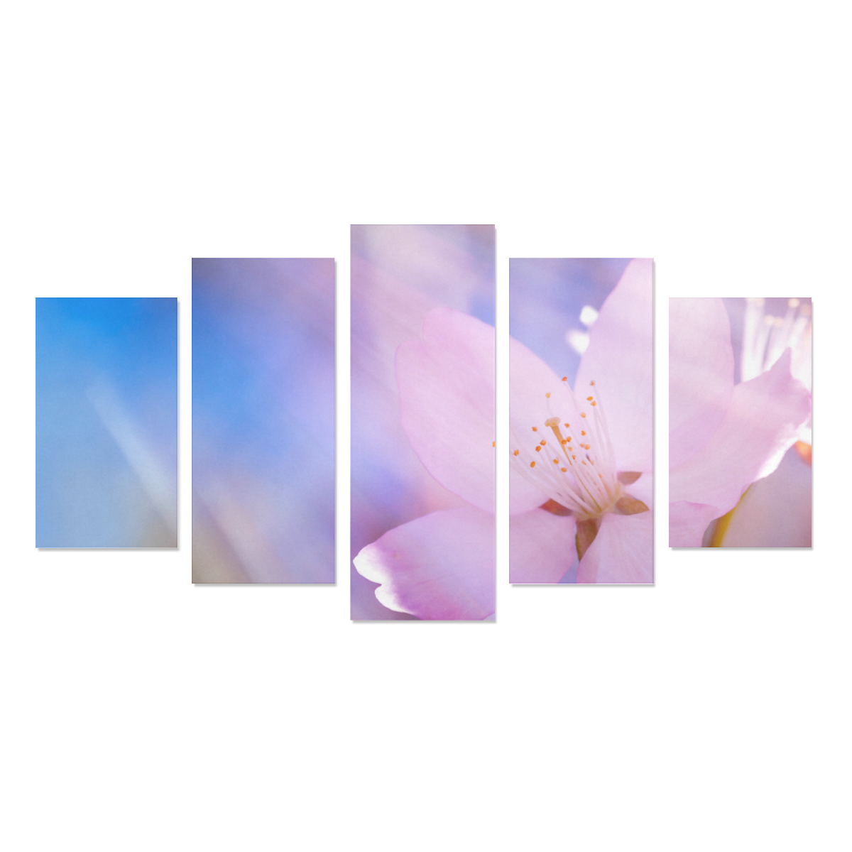 Sakura Cherry Blossom Spring Heaven Light Beauty Canvas Print Sets A (No Frame)