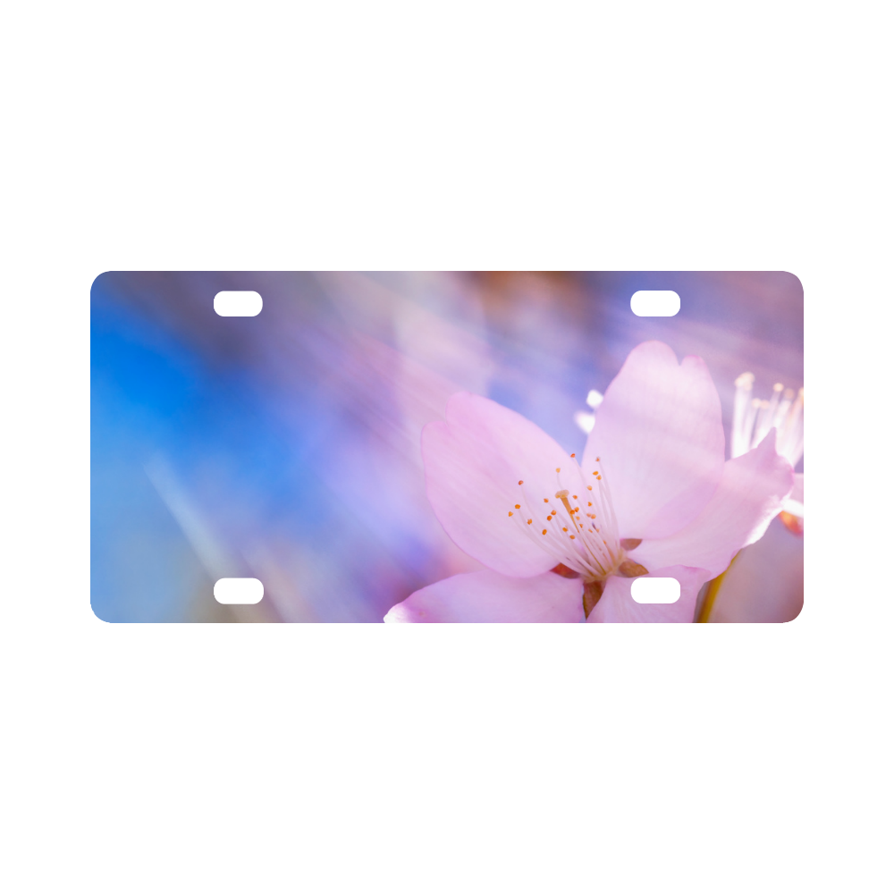 Sakura Cherry Blossom Spring Heaven Light Beauty Classic License Plate