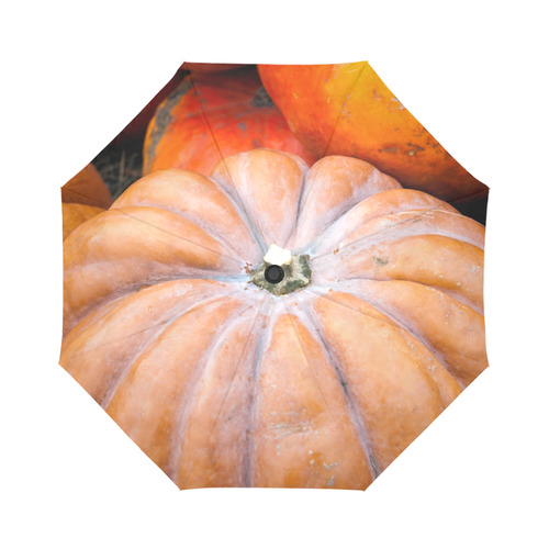 Pumpkin Halloween Thanksgiving Crop Holiday Fall Auto-Foldable Umbrella (Model U04)
