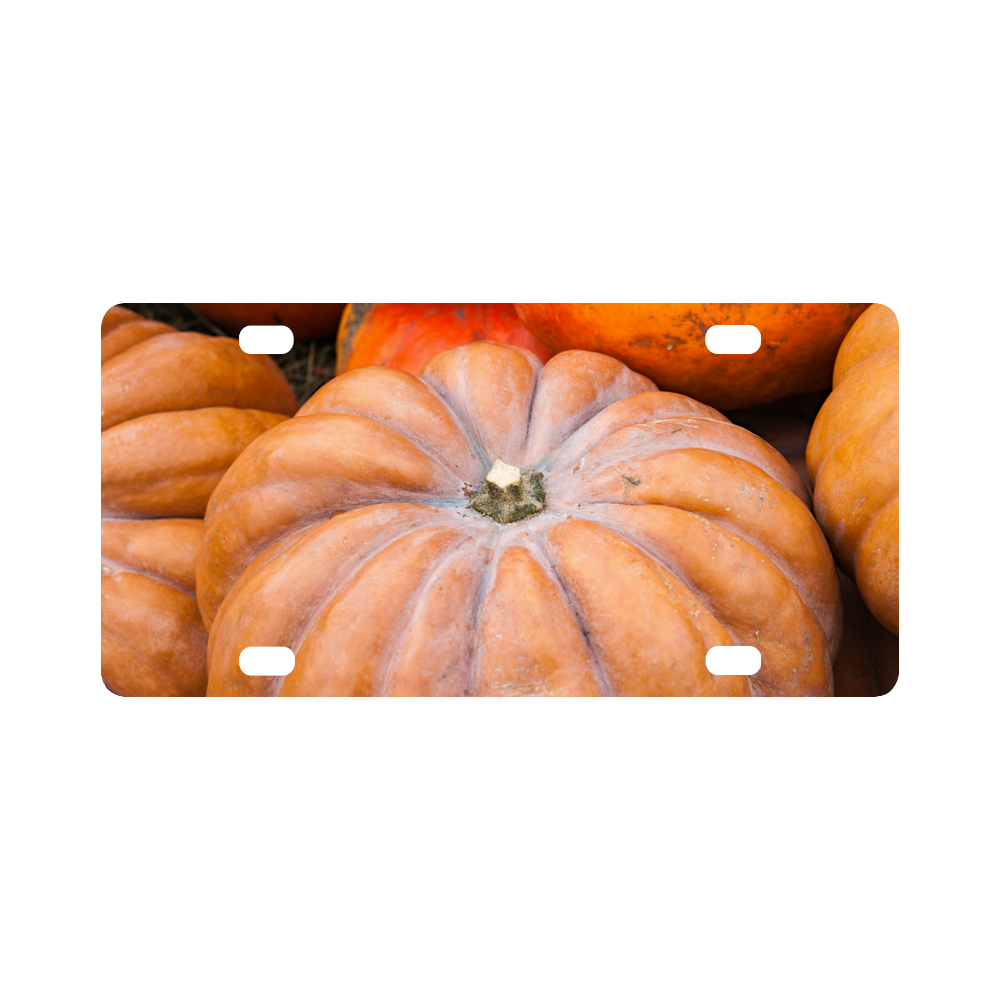Pumpkin Halloween Thanksgiving Crop Holiday Cool Classic License Plate
