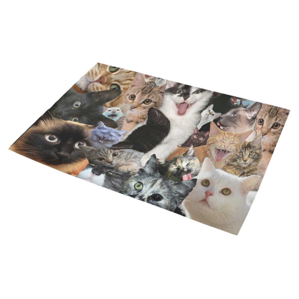 Crazy Kitten Show Azalea Doormat 30" x 18" (Sponge Material)