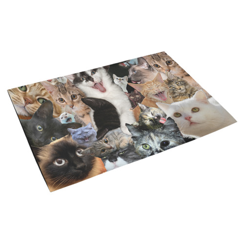 Crazy Kitten Show Azalea Doormat 30" x 18" (Sponge Material)