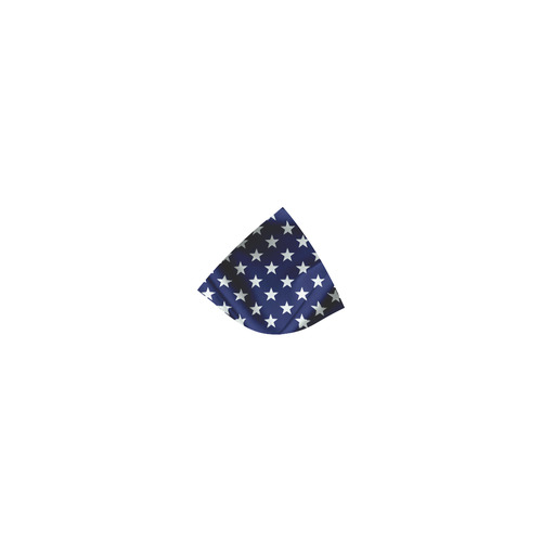 America Flag Banner Patriot Stars Stripes Freedom Custom Bikini Swimsuit (Model S01)