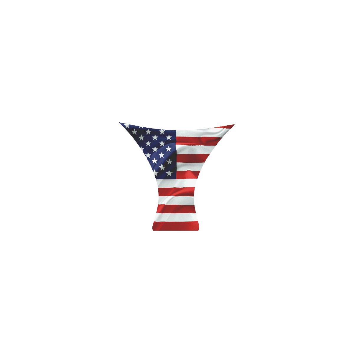 America Flag Banner Patriot Stars Stripes Freedom Custom Bikini Swimsuit (Model S01)