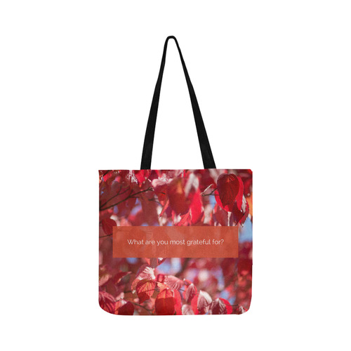 Tote Bag - What are you grateful for Reusable Shopping Bag Model 1660 (Two sides)