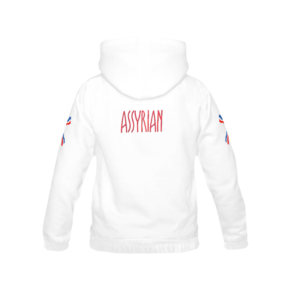Assyrian Flag Hoodie All Over Print Hoodie for Men (USA Size) (Model H13)