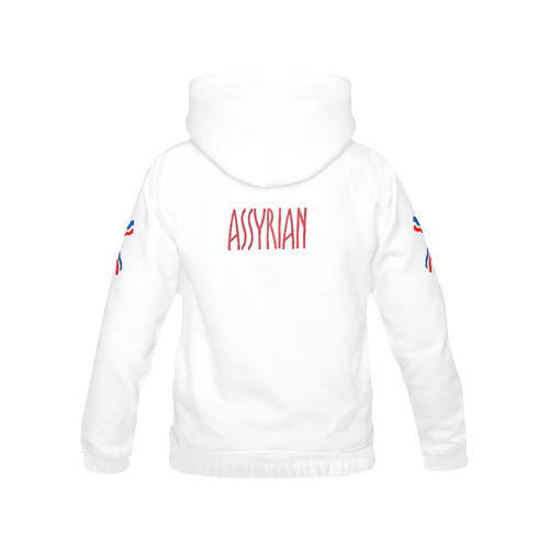 Assyrian Flag Hoodie All Over Print Hoodie for Men (USA Size) (Model H13)