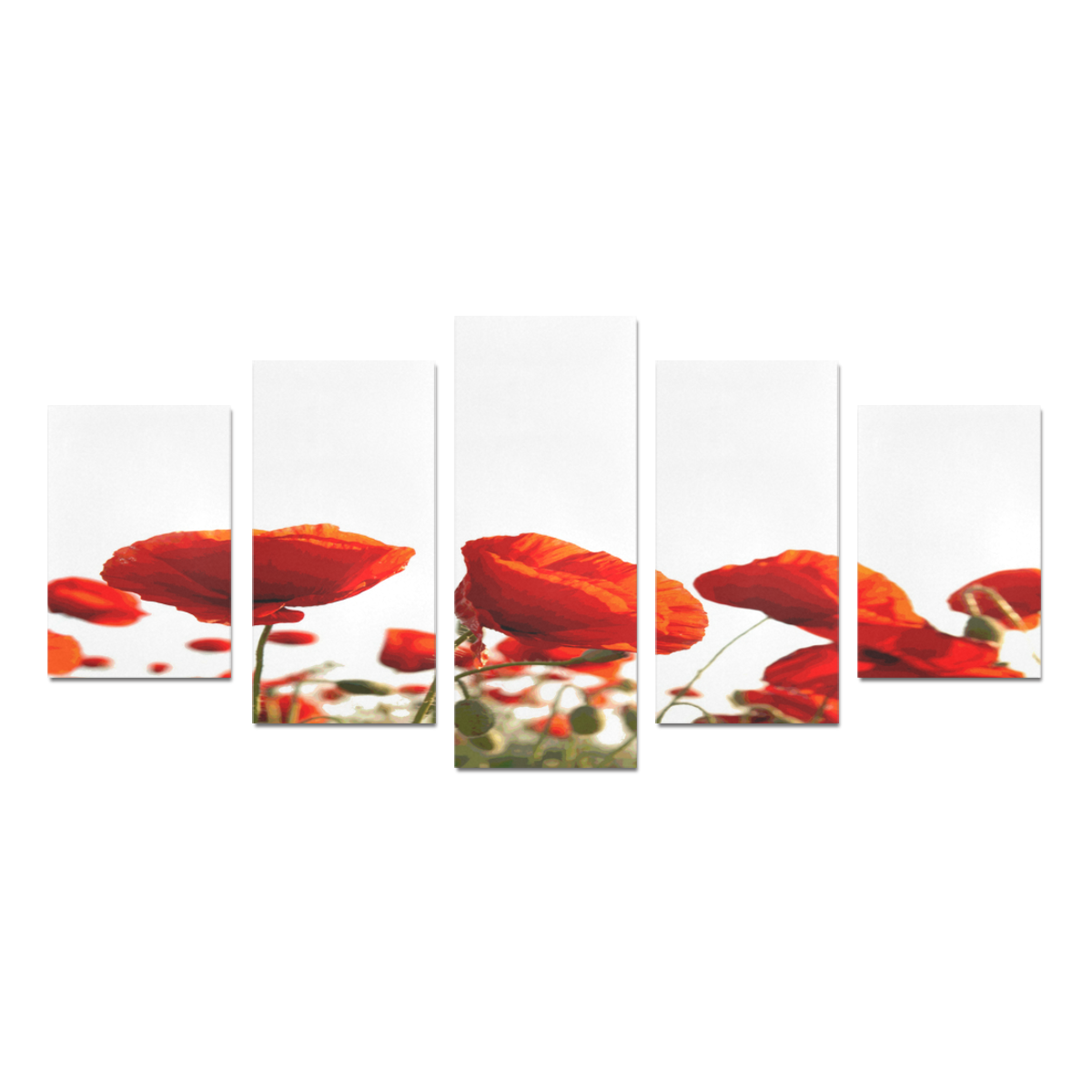 White Red Green Poppy Canvas Print Sets D (No Frame)
