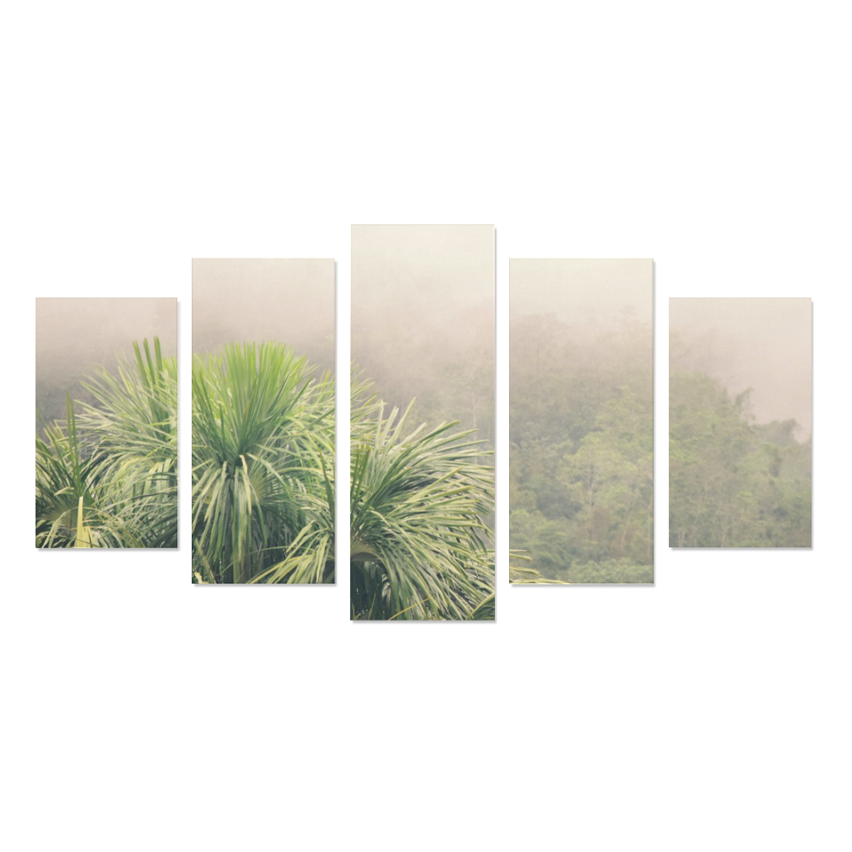 Rainforest Fog Canvas Print Sets A (No Frame)
