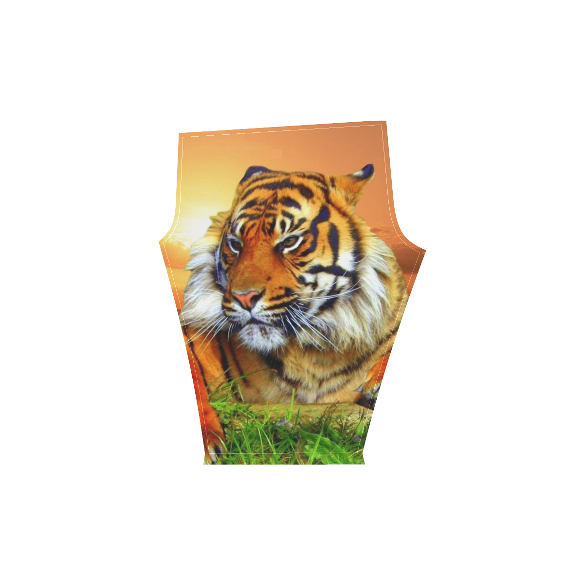 Sumatran Tiger Women's Low Rise Capri Leggings (Invisible Stitch) (Model L08)