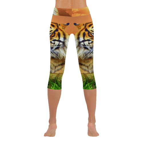 Sumatran Tiger Women's Low Rise Capri Leggings (Invisible Stitch) (Model L08)