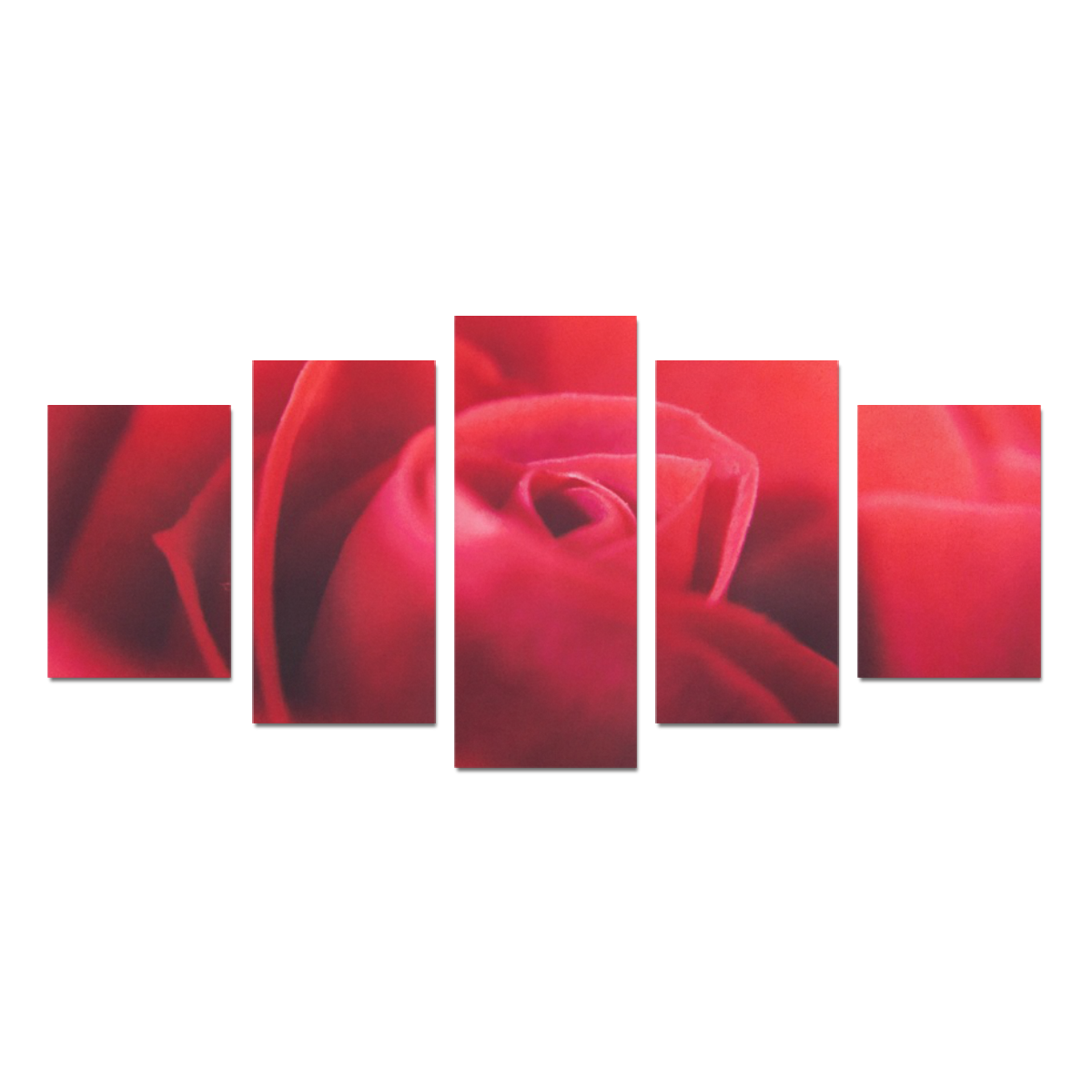 Red Rose Canvas Canvas Print Sets D (No Frame)