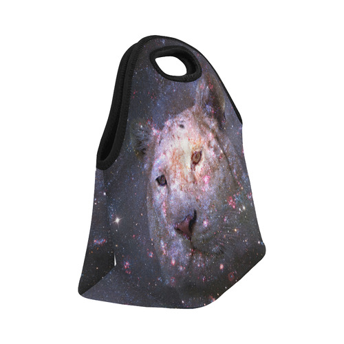 Tiger and Galaxy Neoprene Lunch Bag/Small (Model 1669)