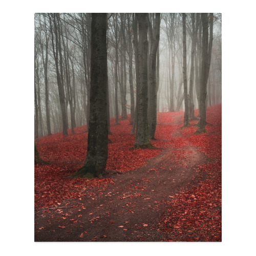 Foggy day into the forest during autumn 3-Piece Bedding Set