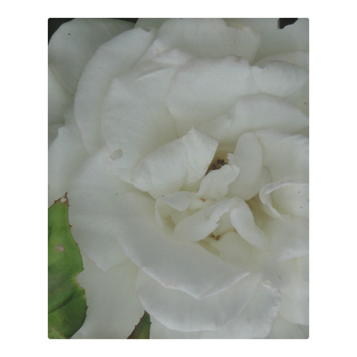 White Rose 3-Piece Bedding Set