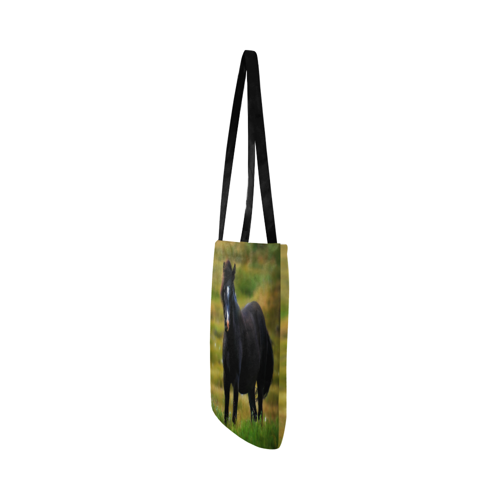 Black Beauty Reusable Shopping Bag Model 1660 (Two sides)