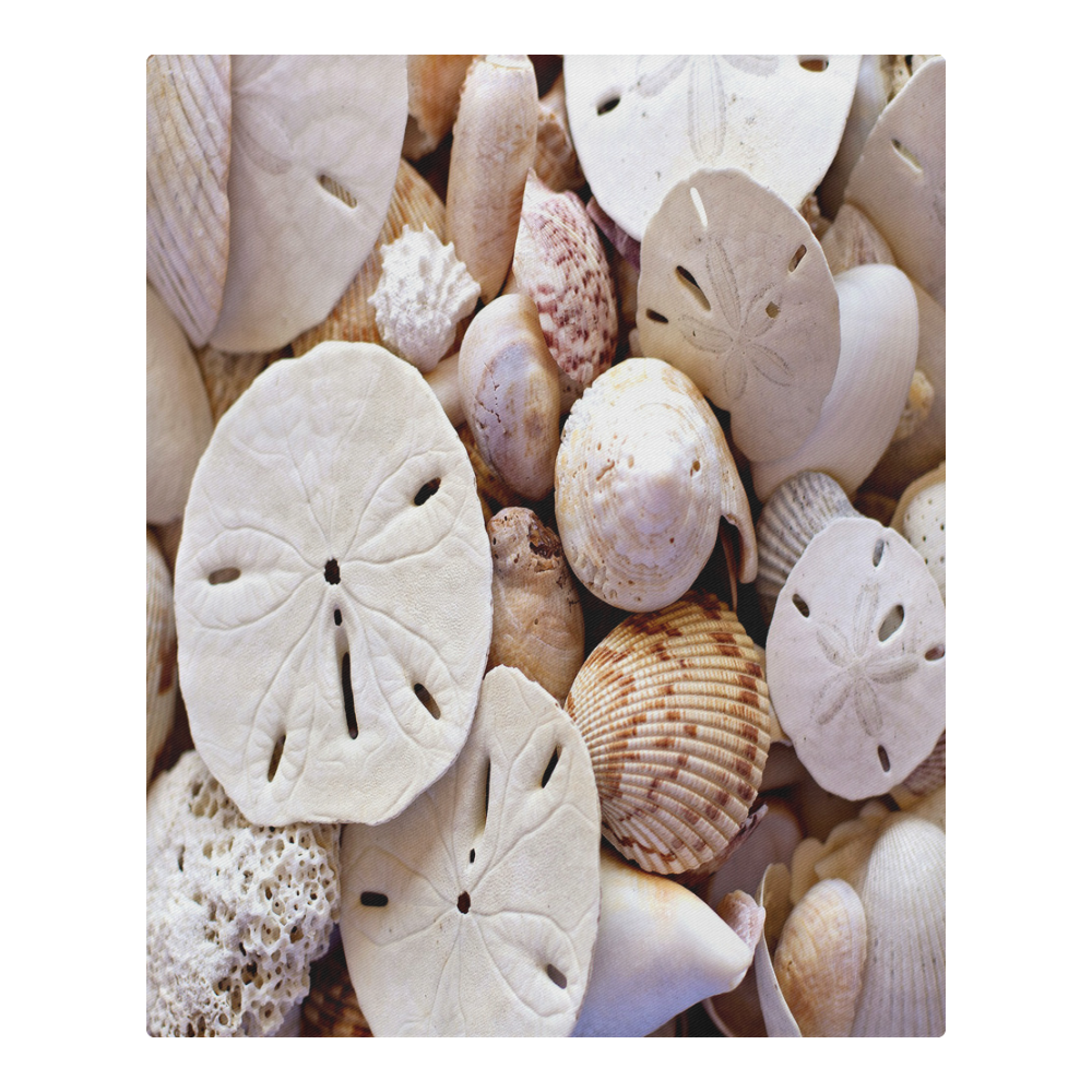Seashells And Sand Dollars 3-Piece Bedding Set