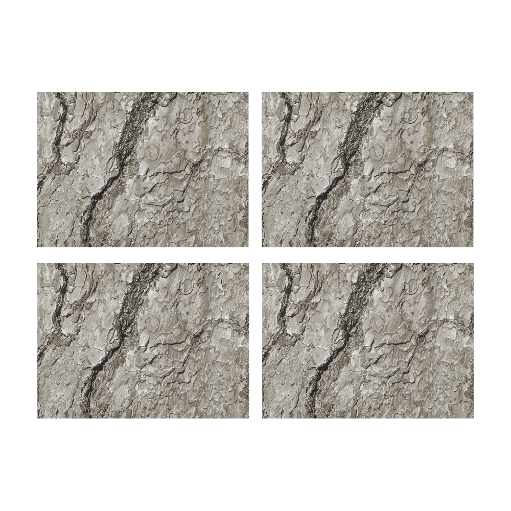 Tree Bark A by JamColors Placemat 14’’ x 19’’ (Set of 4)