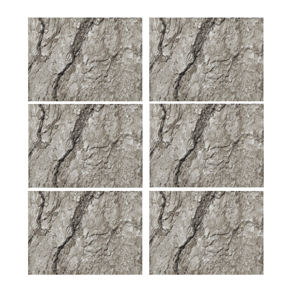 Tree Bark A by JamColors Placemat 14’’ x 19’’ (Set of 6)