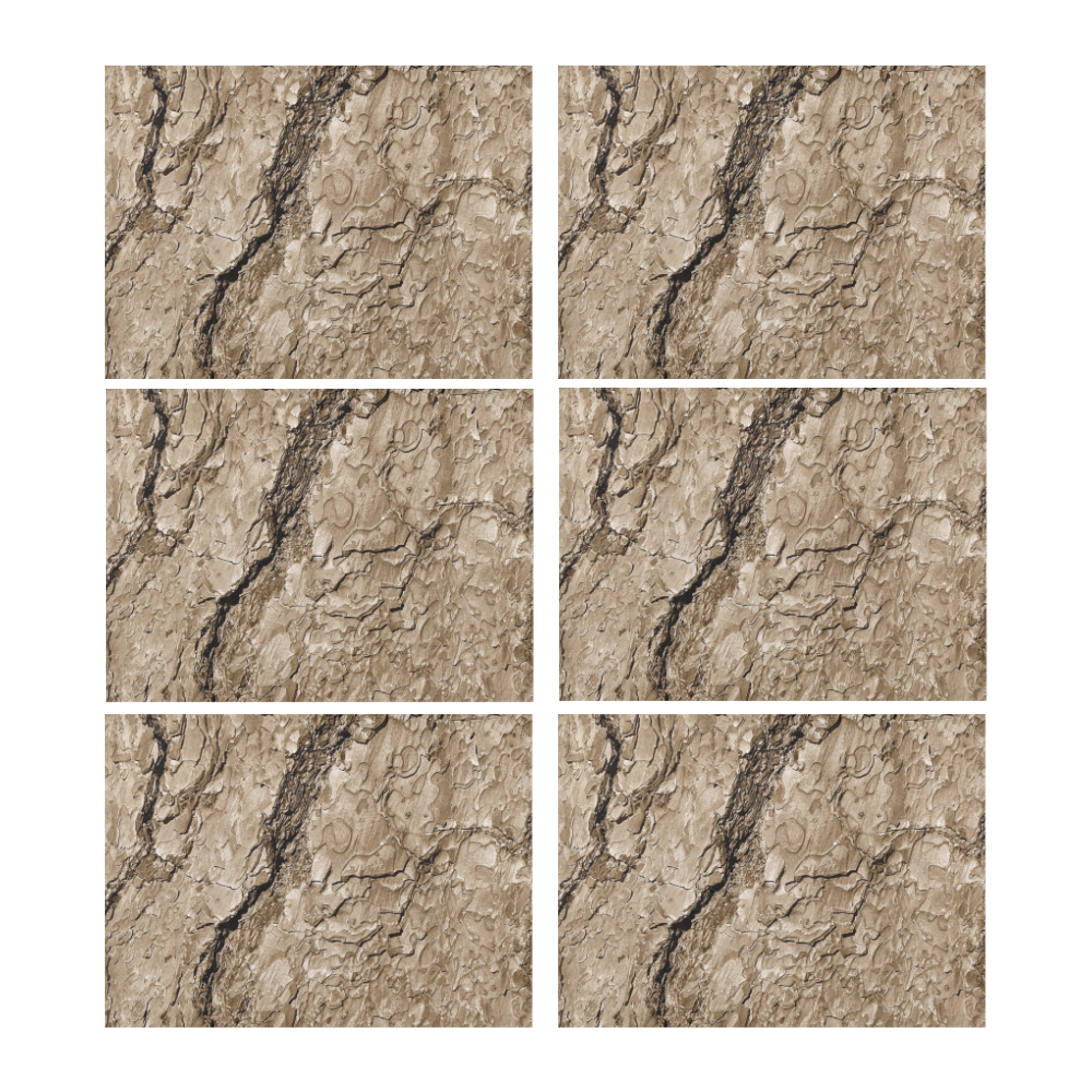 Tree Bark B by JamColors Placemat 14’’ x 19’’ (Set of 6)