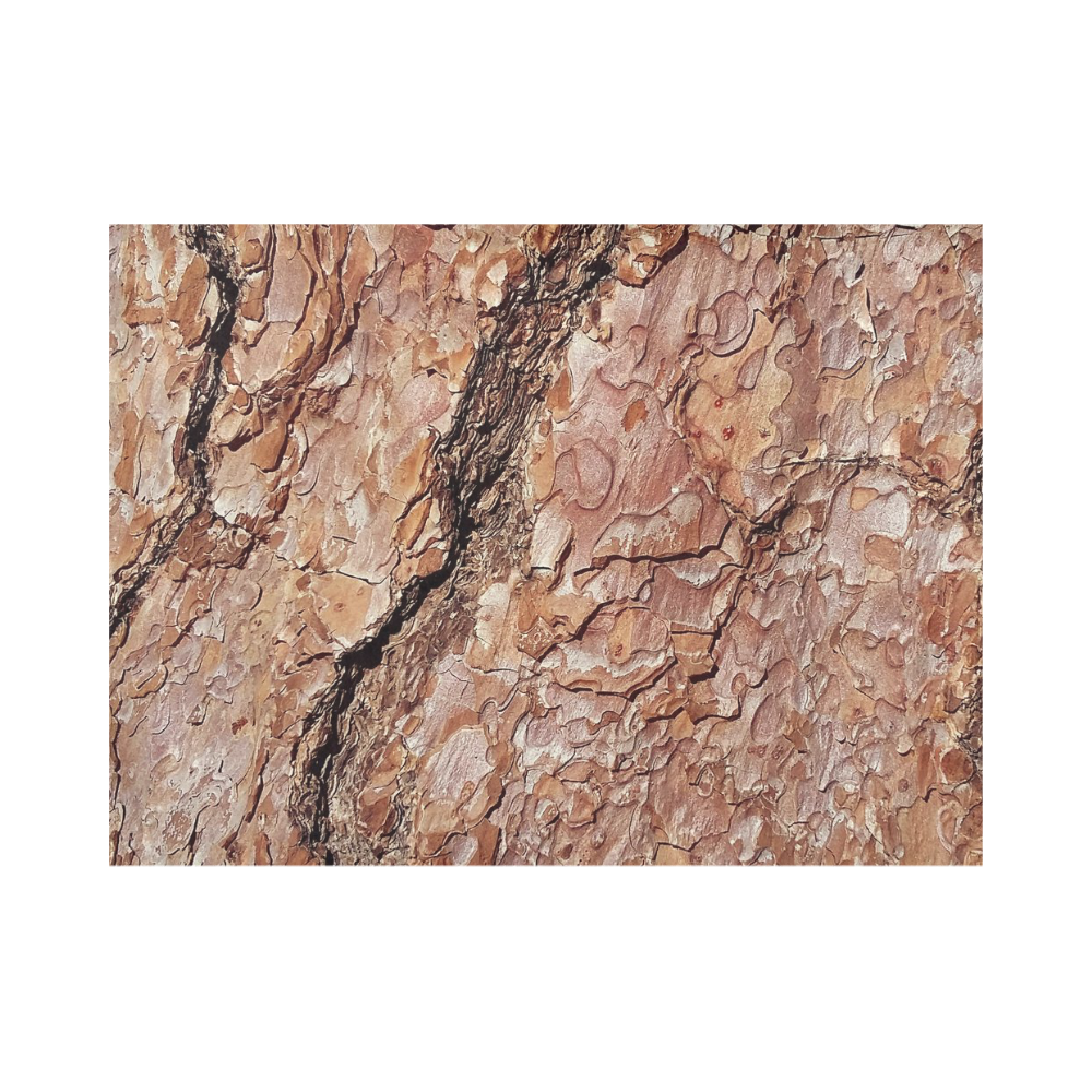 Tree Bark C by JamColors Placemat 14’’ x 19’’ (Set of 4)