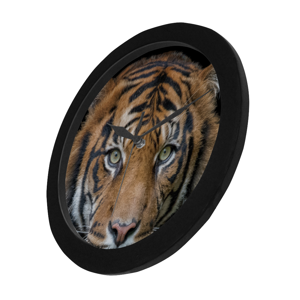 A wild Bengal Tiger Circular Plastic Wall clock