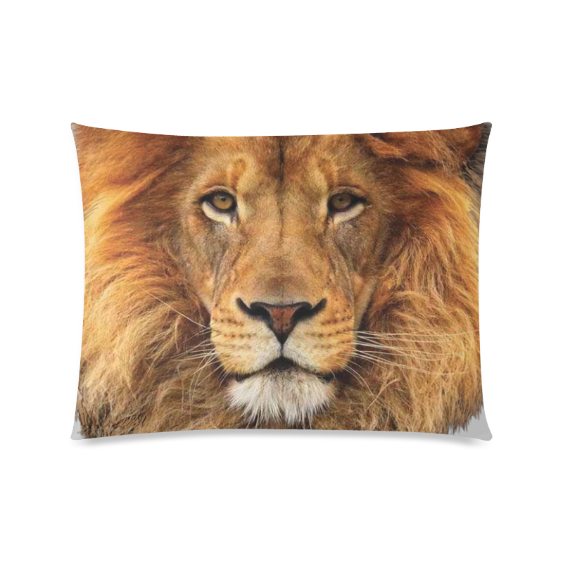 Male Lion of Africa Custom Zippered Pillow Case 20"x26"(Twin Sides)