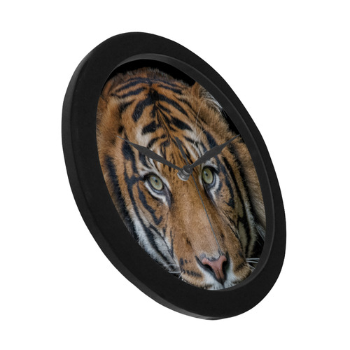 A wild Bengal Tiger Circular Plastic Wall clock