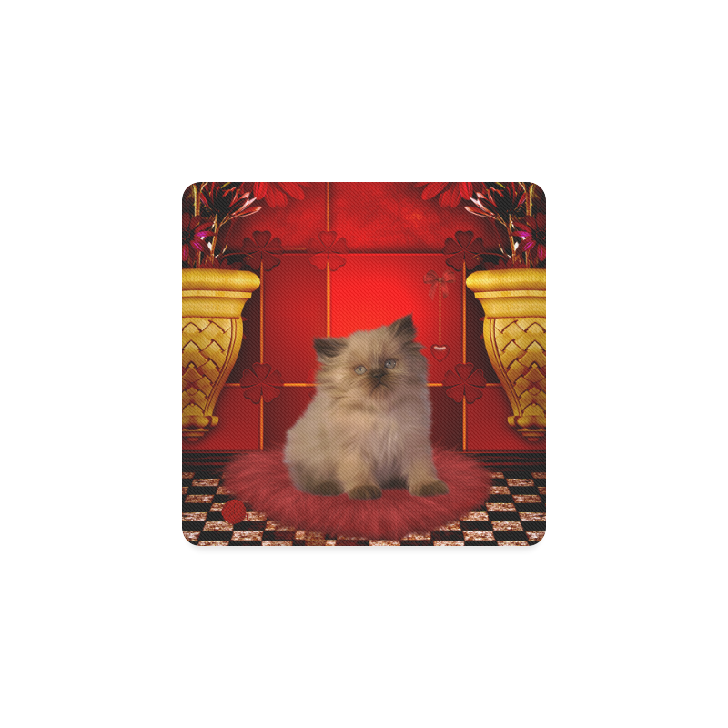 Cute little kitten Square Coaster
