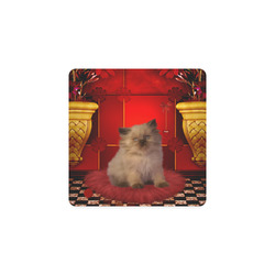 Cute little kitten Square Coaster