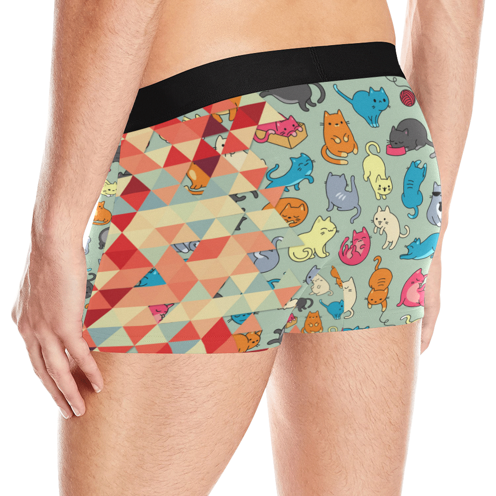 Hipster Triangles and Funny Cats Cut Pattern Men's All Over Print Boxer Briefs (Model L10)