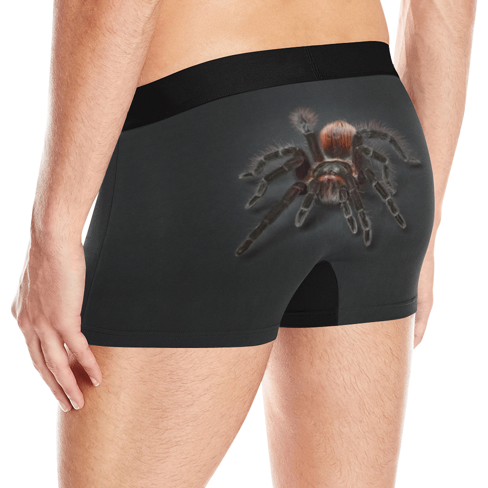 Tarantel - Tarantula Spider Painting Men's All Over Print Boxer Briefs (Model L10)