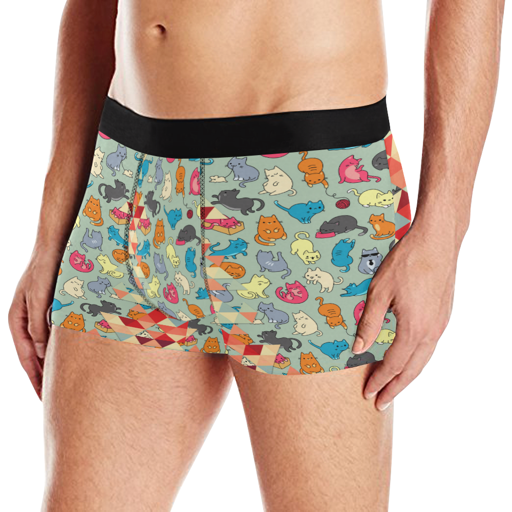 Hipster Triangles and Funny Cats Cut Pattern Men's All Over Print Boxer Briefs (Model L10)