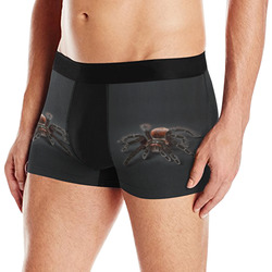 Tarantel - Tarantula Spider Painting Men's All Over Print Boxer Briefs (Model L10)