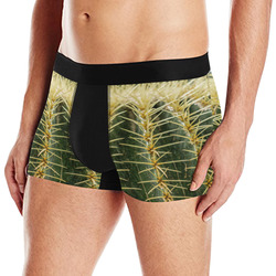 Photography Art - Cactus green yellow Men's All Over Print Boxer Briefs (Model L10)