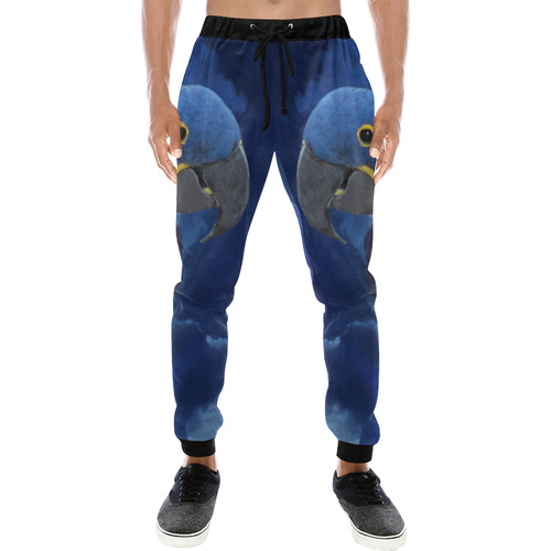 Hyacinth Macaw Men's All Over Print Sweatpants (Model L11)