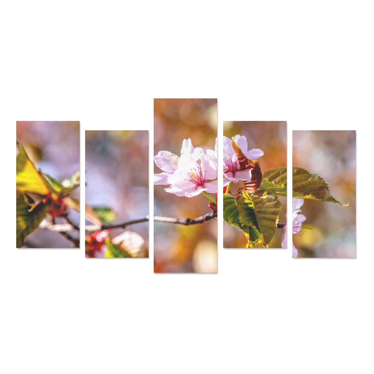 sakura cherry blossom flower spring flora pink Canvas Print Sets E (No Frame)