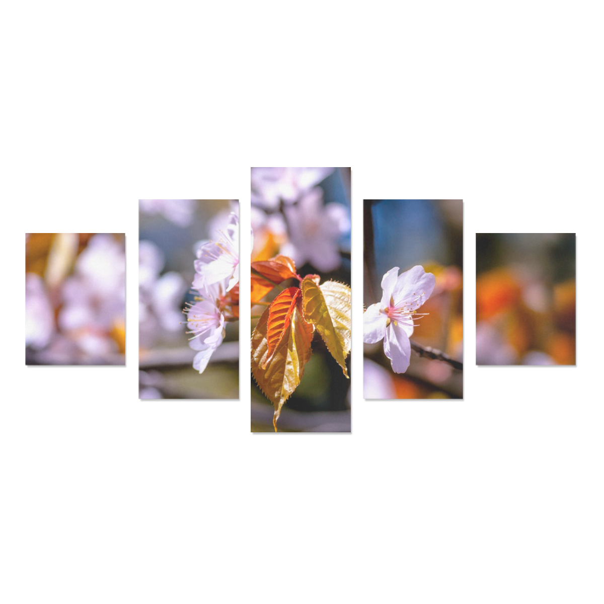 sakura tree flower flora spring blossom cherry Canvas Print Sets B (No Frame)