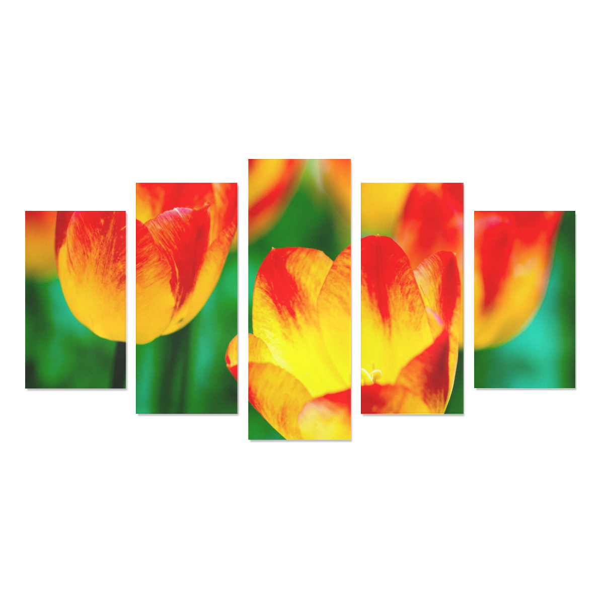 tulip flower flora red yellow green color spring Canvas Print Sets A (No Frame)