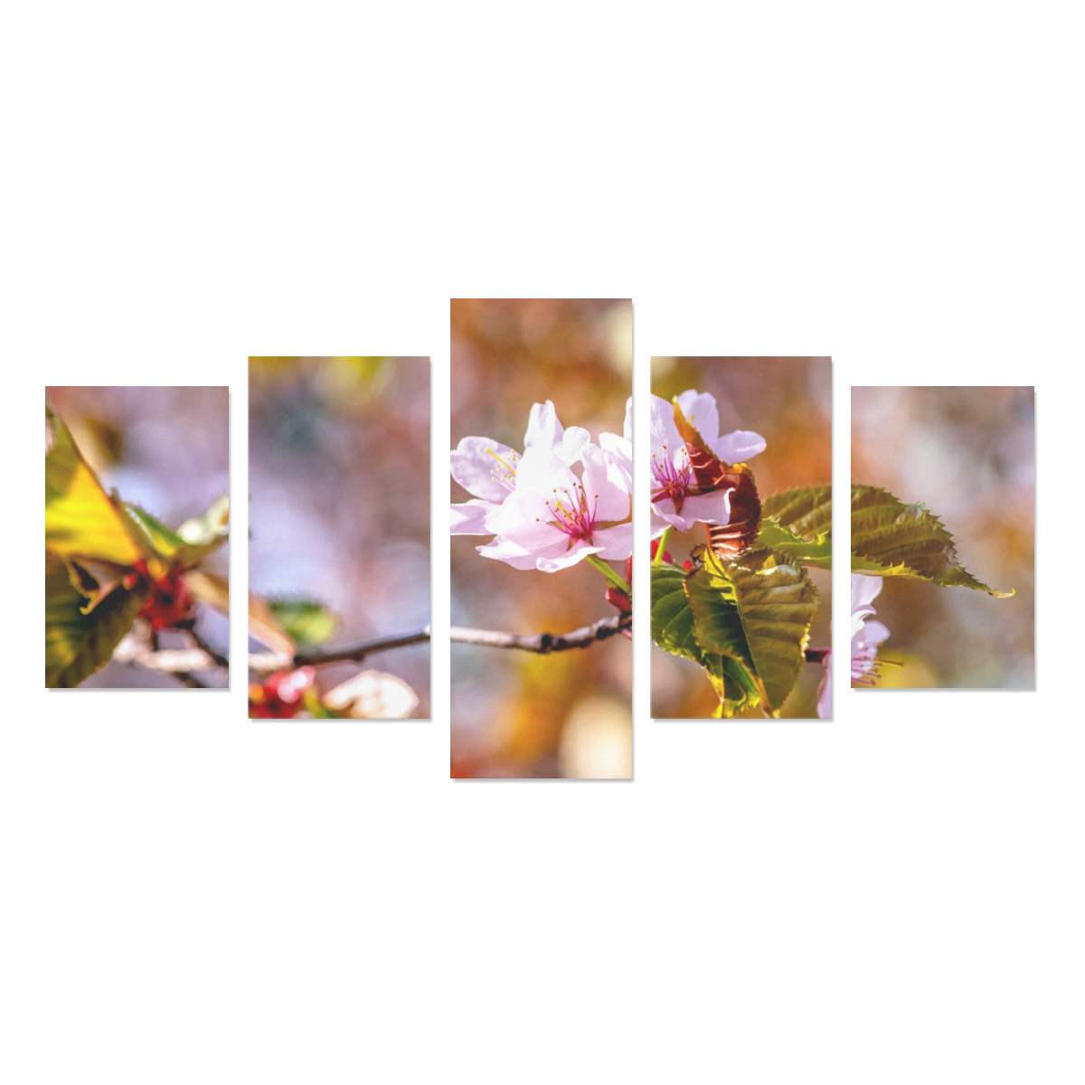 sakura cherry blossom flower spring flora pink Canvas Print Sets C (No Frame)