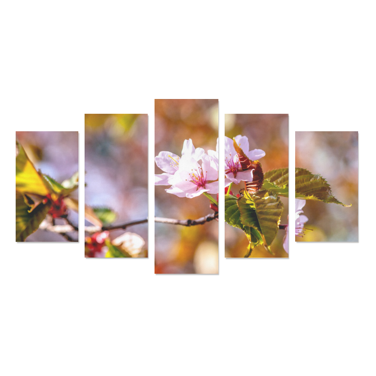 sakura cherry blossom flower spring flora pink Canvas Print Sets A (No Frame)
