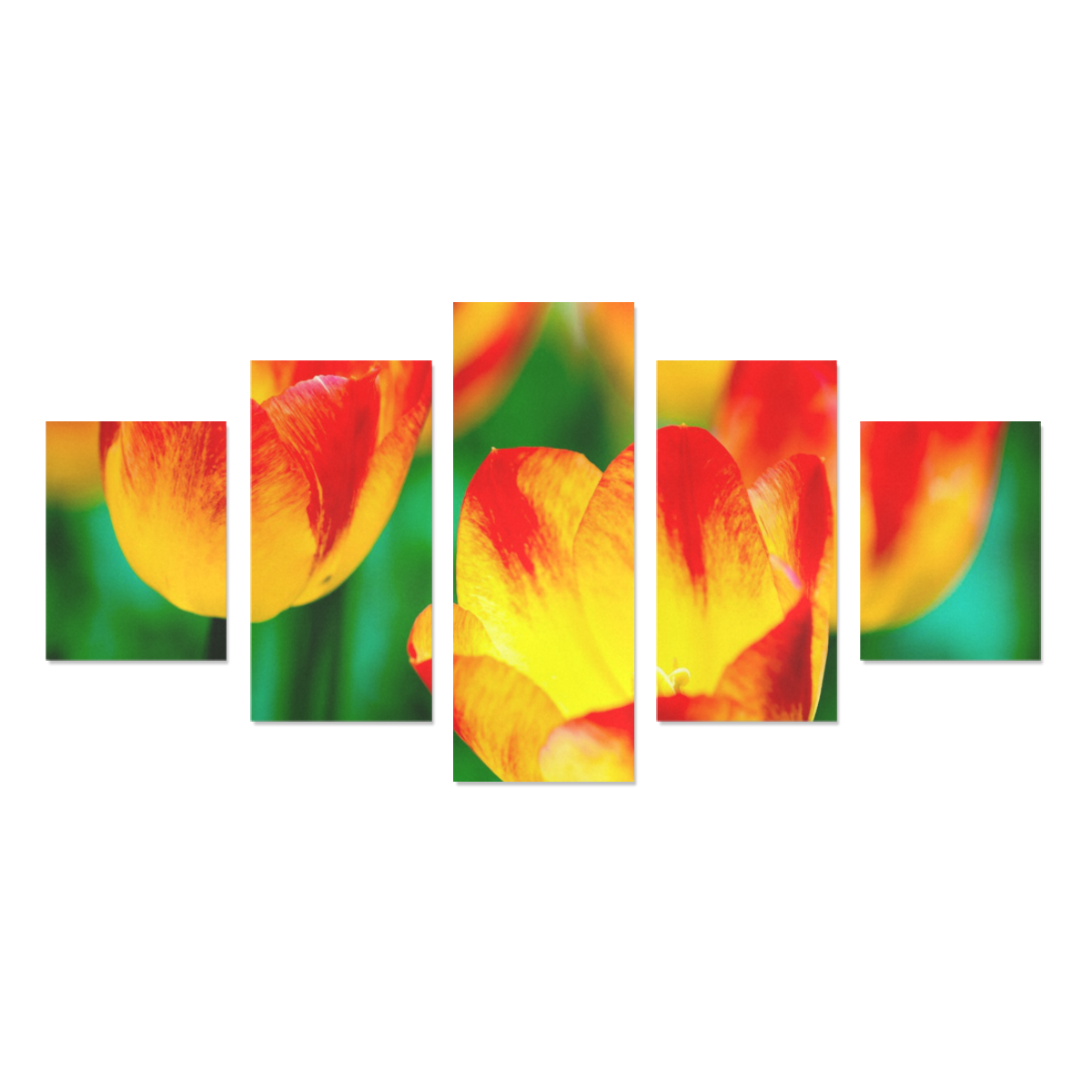 tulip flower flora red yellow green color spring Canvas Print Sets B (No Frame)