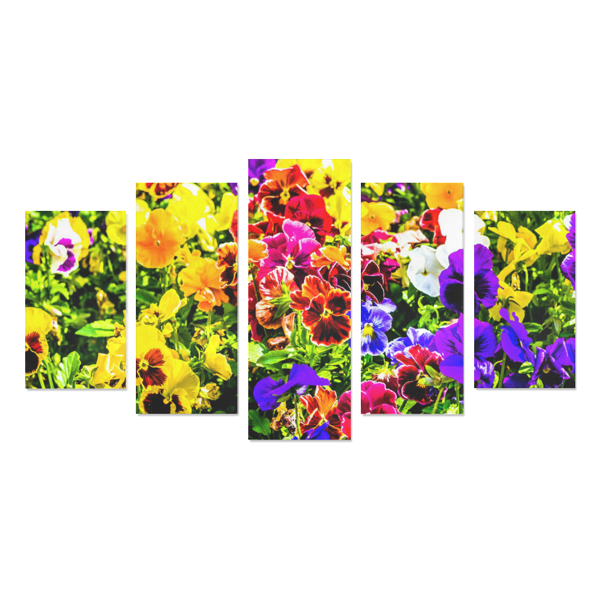 Viola Tricolor Flower colorful beautiful spring Canvas Print Sets A (No Frame)