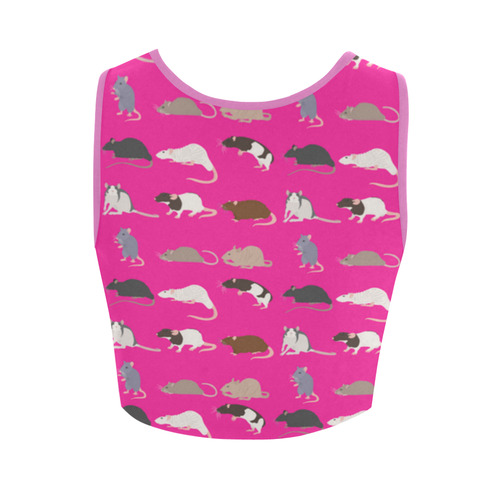 rat shoe3 Women's Crop Top (Model T42)