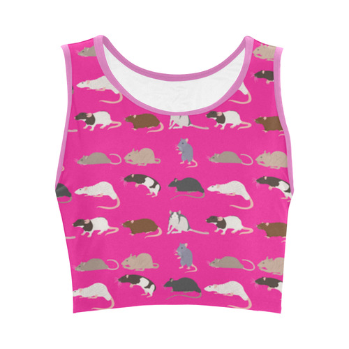 rat shoe3 Women's Crop Top (Model T42)