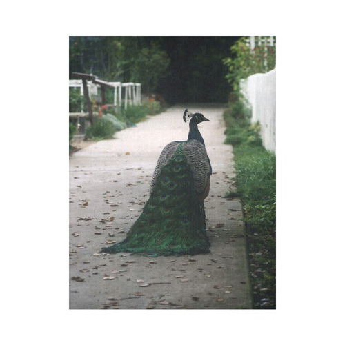 Peacock Path Cotton Linen Wall Tapestry 60"x 80"