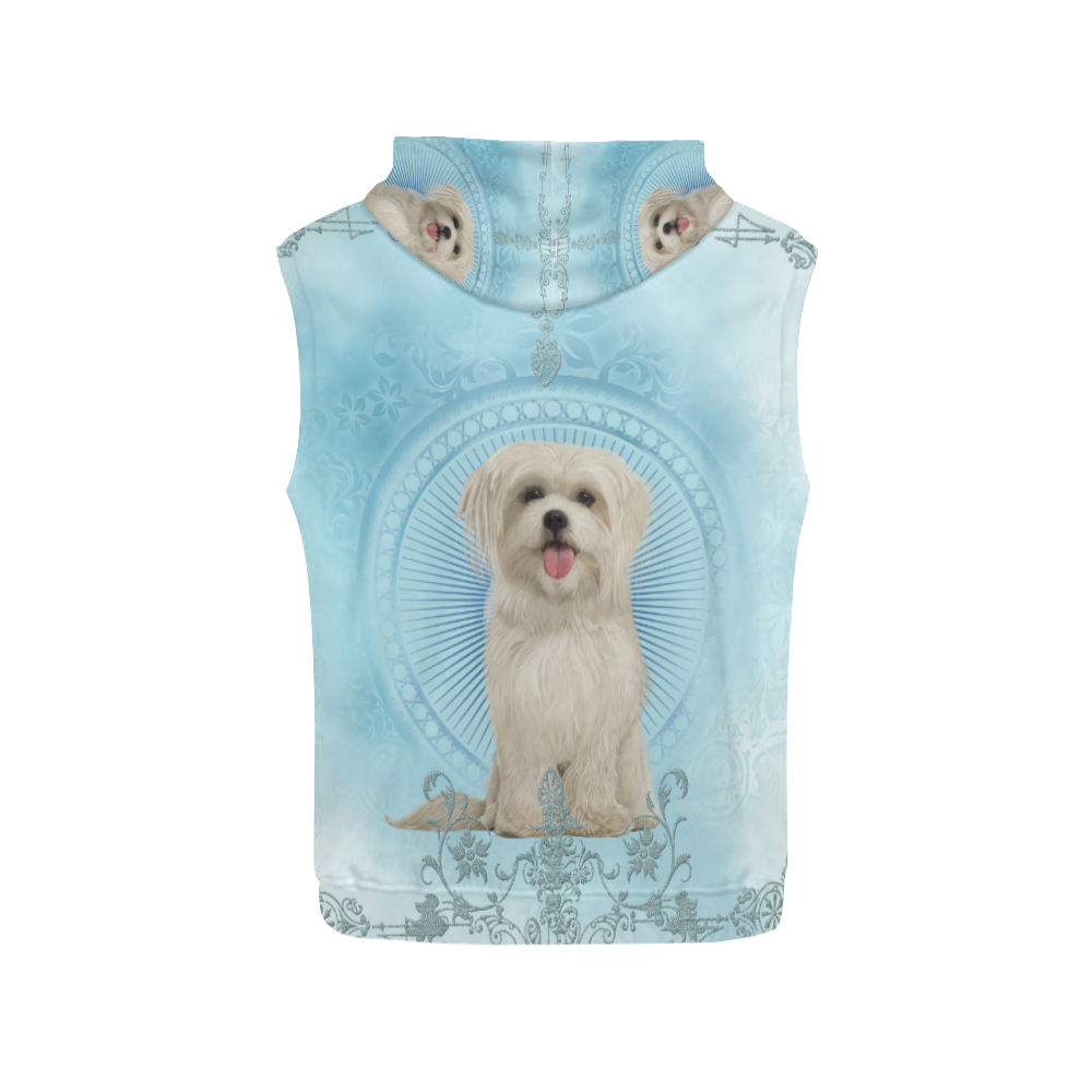 Cute havanese puppy All Over Print Sleeveless Hoodie for Women (Model H15)