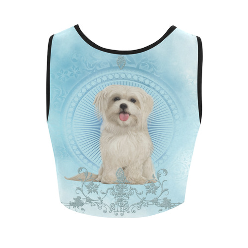 Cute havanese puppy Women's Crop Top (Model T42)